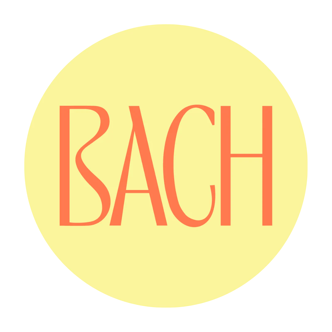 The Bach Matakana
